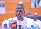 Education tops with N135bn as Zulum presents N899.33bn 2026 budget