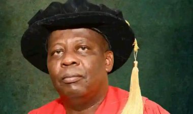 OAU Pro-Chancellor, Prof. Siyan Oyeweso, Passes Away at 64