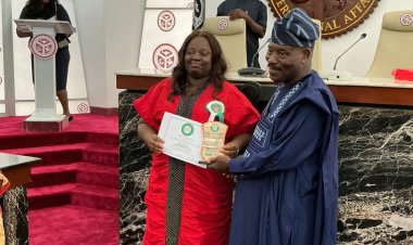 UNILAG’s Dr. Chika Yinka-Banjo Honored at 2025 Nigerian Achievement Awards