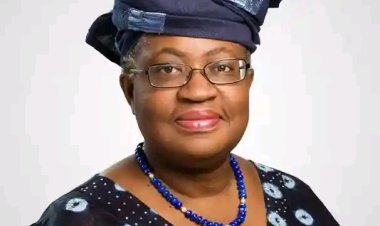 WTO Director-General Ngozi Okonjo-Iweala to Deliver Lecture at ABU 45th Convocation; Former President Obasanjo to Chair Occasion