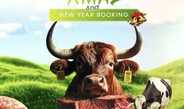 FUNAAB Abattoir Announces Christmas Beef Sharing Scheme; Offers Early-Bird Incentives