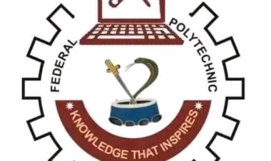 Federal Polytechnic Daura Opens Admission for NSQF Skills Training Programmes for 2025/2026 Session