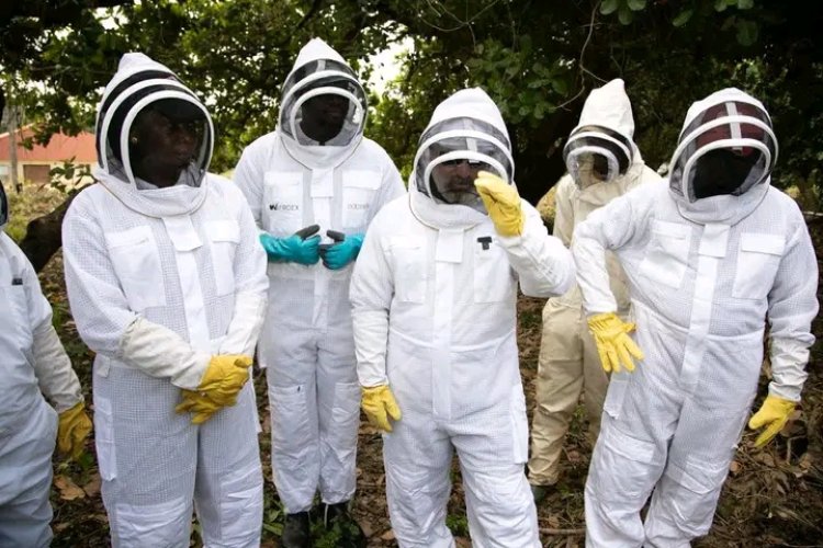 FUNAAB Hosts Hands-On Youth Beekeeping Training Under WAFROEX Partnership
