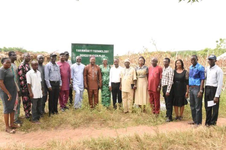 FUNAAB Reaffirms Leadership in Agricultural Innovation as DUFARMS Hosts Yam Minisett Technology Field Day