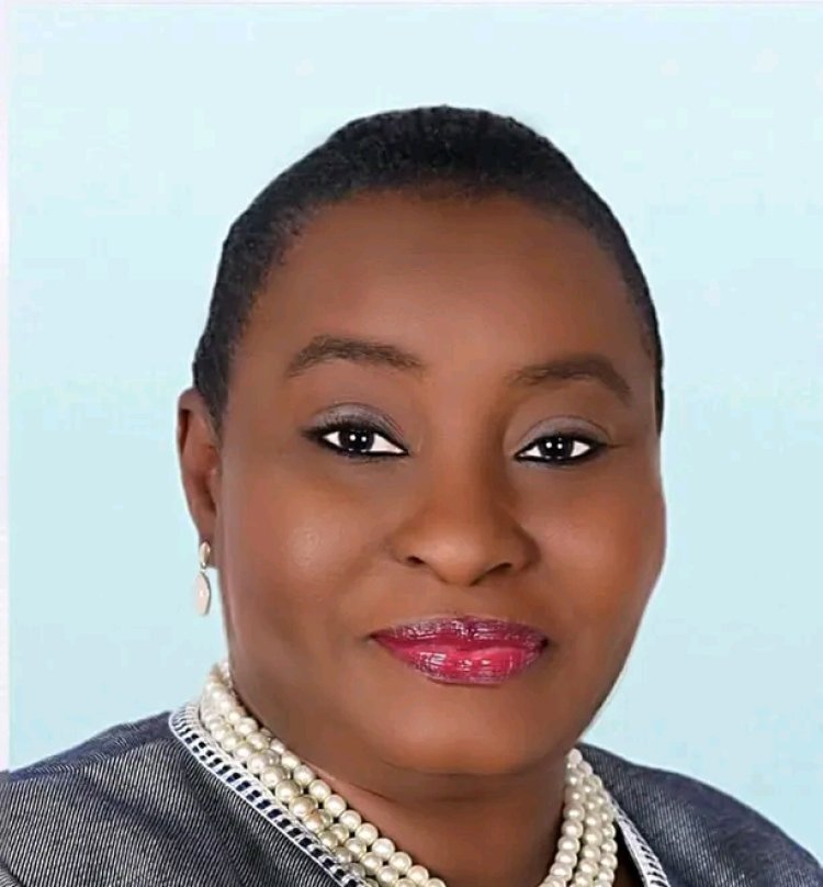 FUNAAB Alumni Secures Top Administrative Role at McPherson University