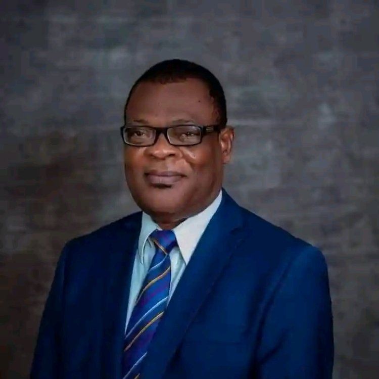 Federal Government Appoints University on the Niger Provost, Prof. Onwudiegwu, to Strategic Health Reform Panel