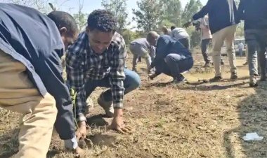 Mekelle University Launches living lab at Tsige'a and Genete tabiaa at Woreda Raya Azebo