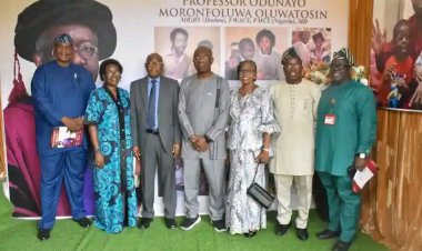 UI–UCH–COMUI Trio and Global Mentees Celebrate Plastic Surgery Icon Professor Odunayo Oluwatosin at 70