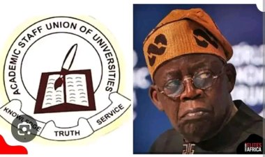 FG–ASUU Agreement Guarantees Full Professorial Pension, Six-Month Maternity Leave for Female Lecturers