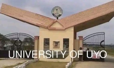 Viral Outburst by University of Uyo Lecturer Triggers National Debate on Academic Conduct