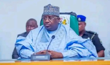 Governor Nasir Idris Appoints Pioneer Provost for Newly Established College of Midwifery Science, Ambursa