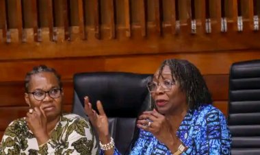 UNILAG Senate Holds Valedictory Session for Retiring Professors Udeani and Oghojafor