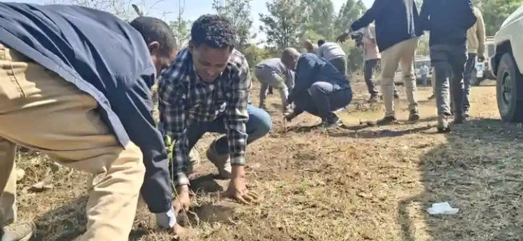 Mekelle University Launches living lab at Tsige'a and Genete tabiaa at Woreda Raya Azebo
