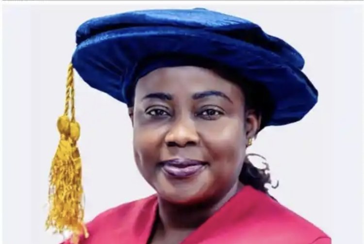 Prof. Francisca Oladipo Becomes First Nigerian Elected to CODATA Executive Committee