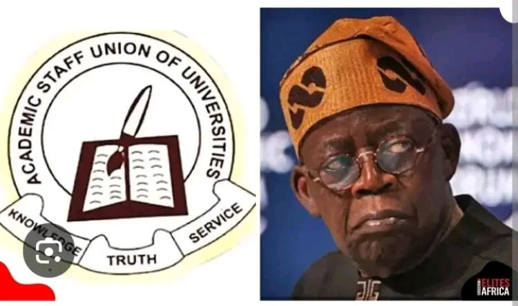 FG–ASUU Agreement Guarantees Full Professorial Pension, Six-Month Maternity Leave for Female Lecturers