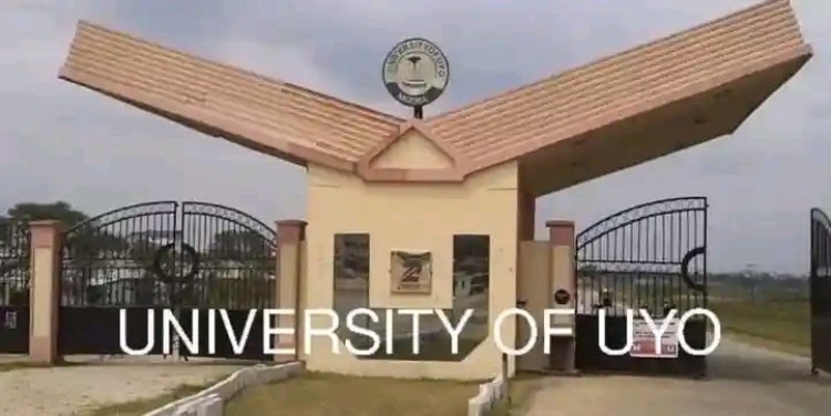 Viral Outburst by University of Uyo Lecturer Triggers National Debate on Academic Conduct