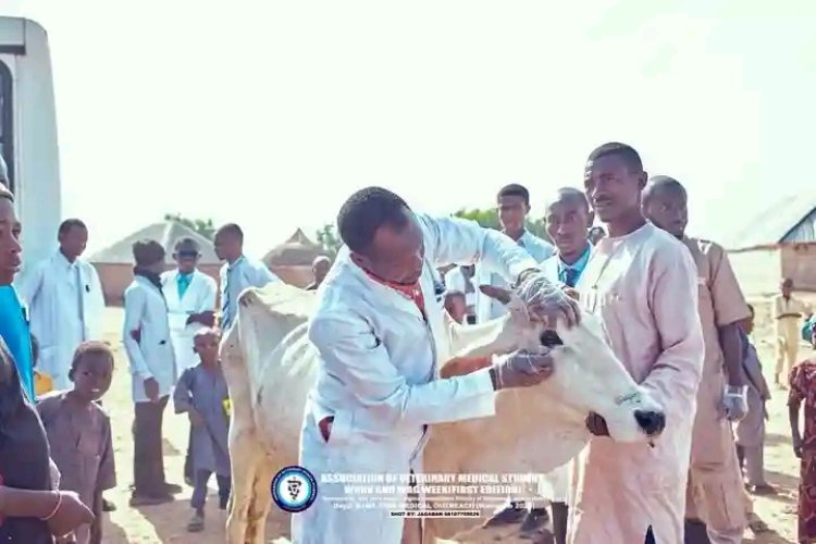 Residents, Delegates Taken by Surprise as UDUS Veterinary Students Offer Free Treatment for Hundreds of Animals in Dundaye