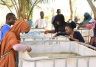 UniAbuja TVET Centre Advances Aquaculture Training Under World Bank-Supported IDEAS Project