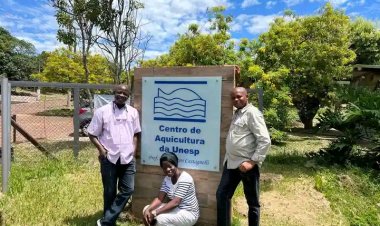 FUNAAB Scholars Strengthen Climate-Smart Aquaculture Collaboration at UNESP, Brazil