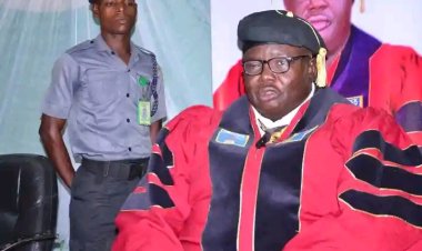 "Invisible Drivers of Knowledge": FULafia Librarian Advocates for Cataloguers’ Recognition