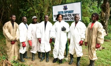 FUTA Hosts Seminar on Beekeeping and Honey Production, Highlights Economic and Health Benefits