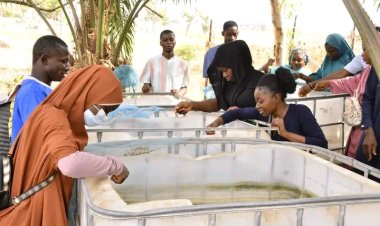 University of Abuja TVET Centre Advances Aquaculture Training with Practical Farm Sessions
