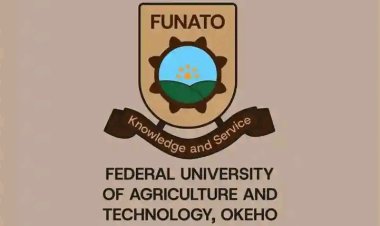 FUNATO Defends Fee Structure: VC Cites Specialized Mandate and Superior Health Services