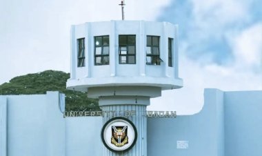 German Language Institute Issues Public Apology and ₦1 Million Compensation to UI Graduate Following Viral Dispute