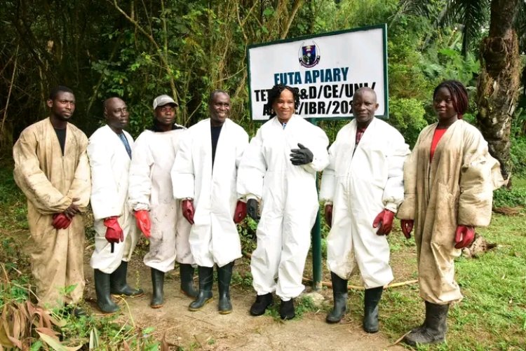 FUTA Hosts Seminar on Beekeeping and Honey Production, Highlights Economic and Health Benefits