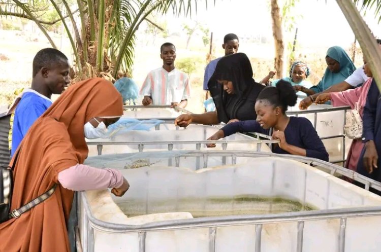 University of Abuja TVET Centre Advances Aquaculture Training with Practical Farm Sessions