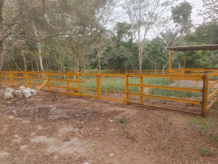 FUNAAB Zoo Park Expands Wildlife Collection, Prepares to Welcome Elephant