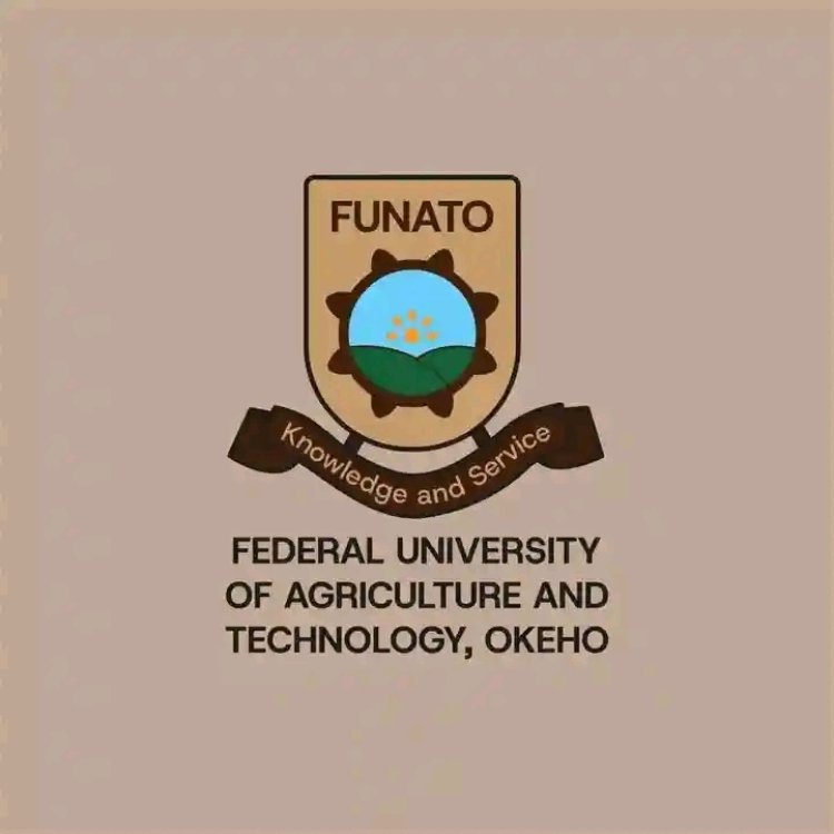 FUNATO Defends Fee Structure: VC Cites Specialized Mandate and Superior Health Services