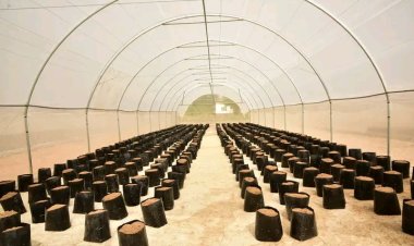 FUTA Expands Specialized Farming with New Greenhouses to Boost Food Security