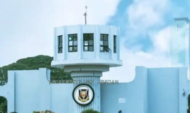 UI Don Outlines Critical Reforms for Nigeria to Reaping Economic Benefits from Global Trade