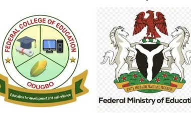 FG Nullifies Appointments of Provost, Registrar, and Bursar at FCE Odugbo Over Procedural Breaches