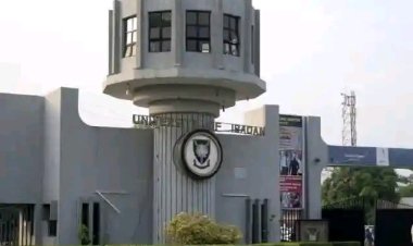 University of Ibadan Admits Only 9.4% of Applicants for 2025/2026 Academic Session
