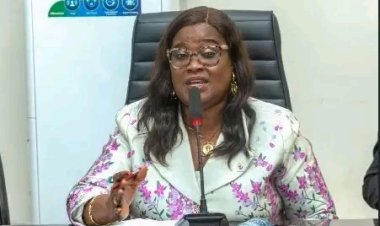 Environmental Degradation in Niger Delta Threatens Reproductive Health, UNIDEL VC Warns