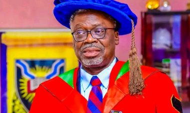 UI Professor Calls for ‘Therapeutic Philosophy’ to Tackle Intellectual and Moral Decline