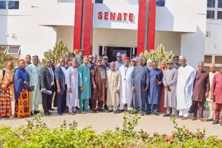 Newgate University Minna Set to Launch AI, Community Nursing, and Advanced Postgraduate Programmes