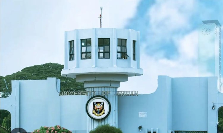 University of Ibadan Withdraws 226 Students Over Poor Academic Performance