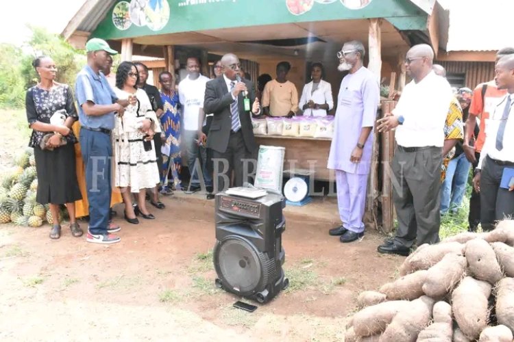 FUNAAB’s DUFARMS Launches Value-Added Food Products, Achieves Strong Sales