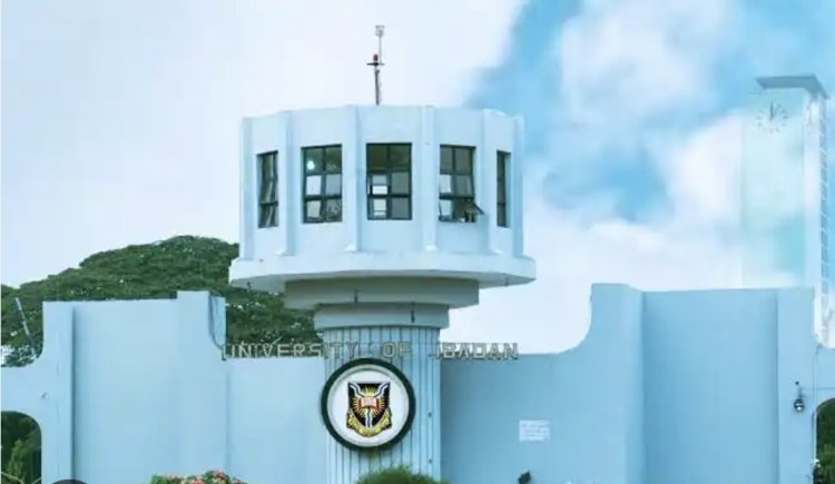 UI Don Outlines Critical Reforms for Nigeria to Reaping Economic Benefits from Global Trade