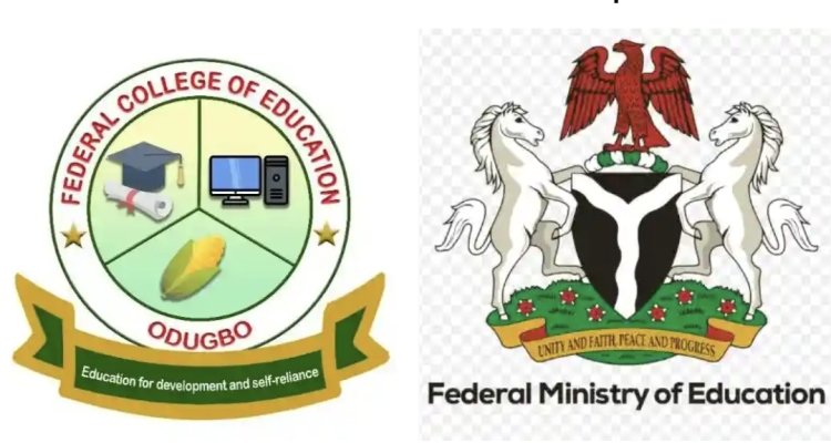 FG Nullifies Appointments of Provost, Registrar, and Bursar at FCE Odugbo Over Procedural Breaches
