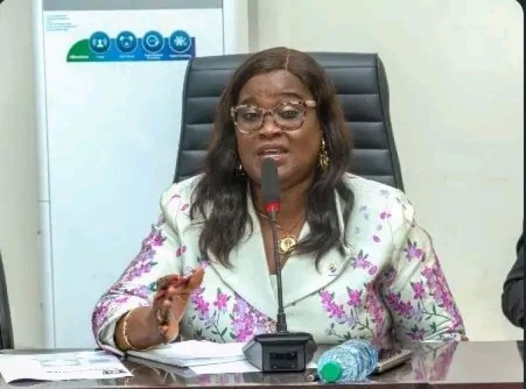 Environmental Degradation in Niger Delta Threatens Reproductive Health, UNIDEL VC Warns