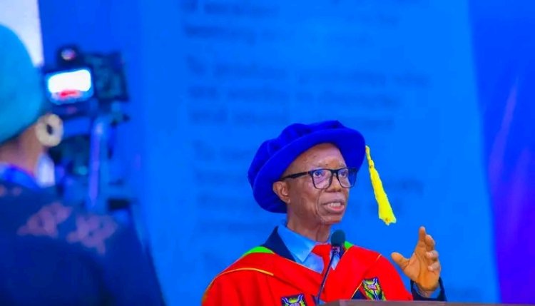 UI Professor Advocates Strategic Systems Management for Organisational Excellence