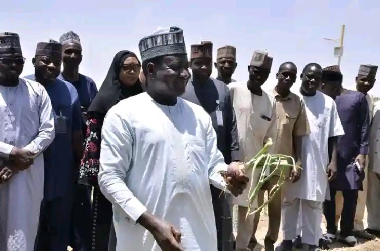 UNIMAID Vice-Chancellor Leads Onion Harvest, Unveils "Smart Agriculture" Roadmap