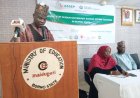 Support Programme Opens Certification Opportunities for Teachers in Borno Northeast Nigeria
