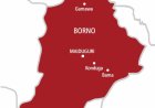 Borno School Attack Sparks Outrage After 42 Children Are Reportedly Abducted