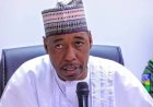 Hope Amid Fear: Zulum Promises Rescue of 48 Abducted Children in Borno