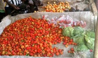 UDUS Students Turn Yaji, Kuli-Kuli into Pepper Substitutes as Prices Soar